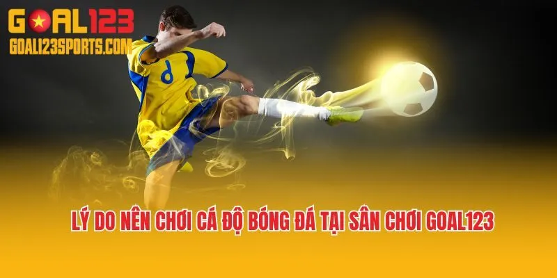 Lý do nên chơi cá độ bóng đá tại sân chơi Goal123
