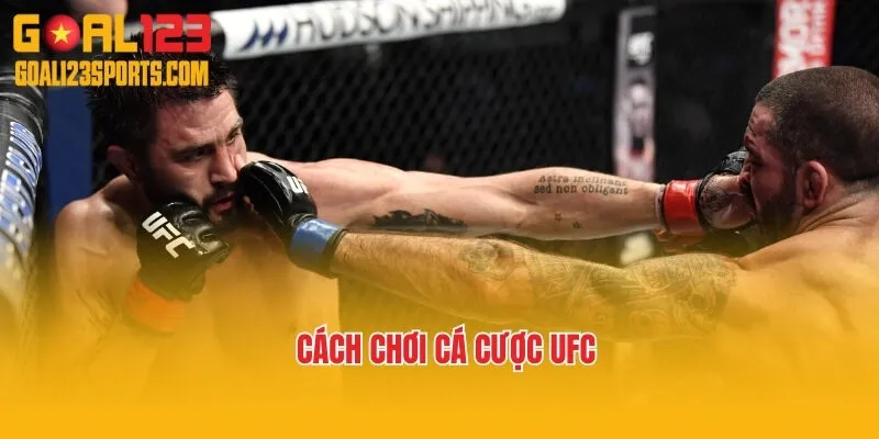 Cách chơi cá cược UFC