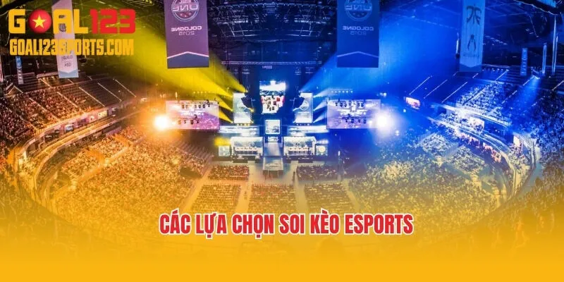 Các lựa chọn soi kèo Esports